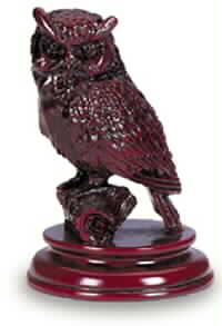 The wise owl.