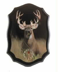 The Hunters Dream!